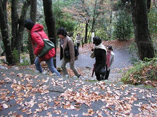 郡上城山道.JPG