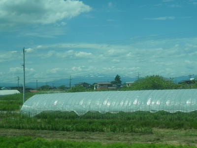 P1043261.JPG