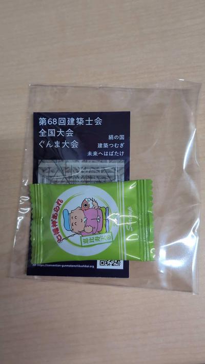 群馬県の配付物.jpg